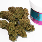 CBD kanapių žiedai Gelato Swis Hemp 10%