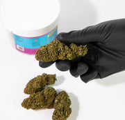 CBD kanapių žiedai Gelato Swis Hemp 10%