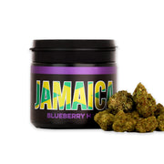 CBD kanapių žiedai BLUEBERRY Jamaica 10%