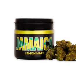 CBD kanapių žiedai LEMON HAZE Jamaica 10%