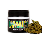 CBD kanapių žiedai WHITE WIDOW Jamaica 10%